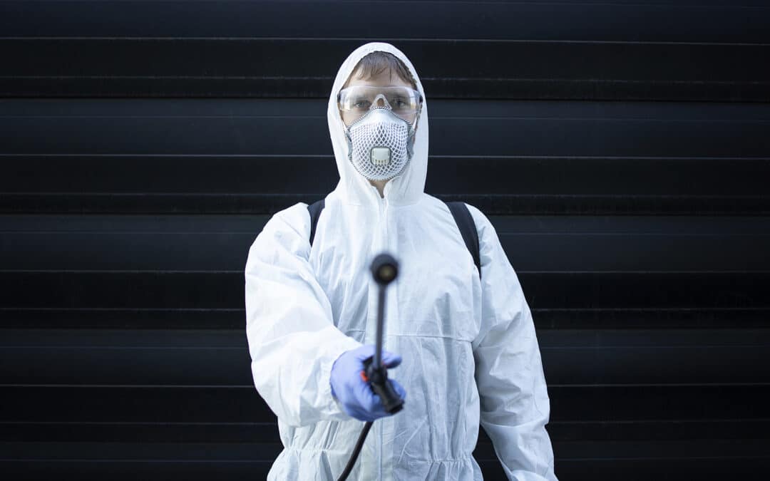 Top 5 best exterminators in Montreal in 2023: Solve your pest problems quickly